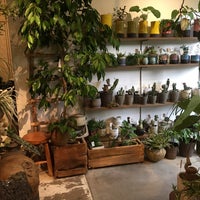 Growing Plants Oslo 福島区 北区大淀南3 2 4