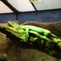 Photo taken at Reptile House by Matthew M. on 9/7/2013