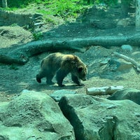 Photo taken at Maryland Zoo in Baltimore by Sean O. on 5/21/2023