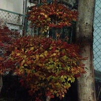 Photo taken at 新宿区立西戸山小学校 by page 8. on 12/5/2012
