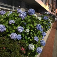 ヨドバシカメラ 本社総合センター 閉業 新宿区のオフィス