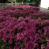 Photo taken at デイリーヤマザキ 東北沢店 by page 8. on 5/3/2013