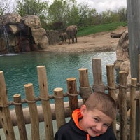 Photo taken at Elephants by Shawn C. on 4/22/2017