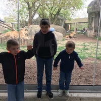 Photo taken at African lions by Shawn C. on 4/22/2017