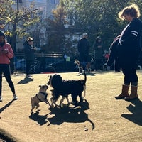 Photo taken at S Street Dog Park by Kris on 11/19/2022
