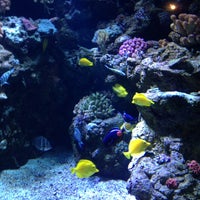 7/24/2013에 Renee L.님이 Aquarium of the Pacific에서 찍은 사진