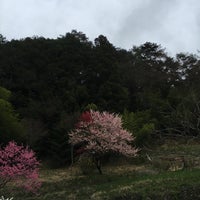 Photo taken at アルプカーゼ by Umigaeru U. on 4/23/2016