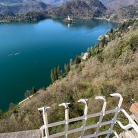 Снимок сделан в Blejski Grad | Bled Castle пользователем sinisa c. 4/6/2024