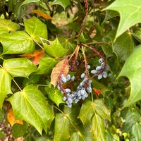 Photo taken at North Carolina Welcome Center by Nicolas P. on 5/27/2023