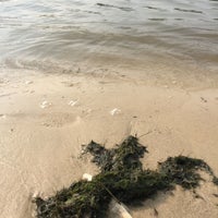 Photo taken at Пляж в Зеленом Бору by Azamataka S. on 7/24/2016