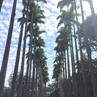 Photo taken at Jardim Botânico do Rio de Janeiro by Daniel on 12/22/2015