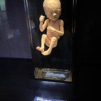 Photo taken at Prenatal Exhibit by Morgan I. on 9/24/2022