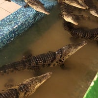 Photo taken at Крокодиловая ферма &amp;quot;Крокодилвиль&amp;quot; by Евгения Щ. on 7/31/2019