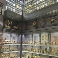 Photo taken at Hunterian Museum by Andrea F. on 5/3/2016