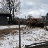Photo taken at Copenhagen Zoo by Summer 🇺🇸🇰🇼 on 12/23/2023