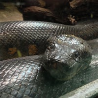 Photo taken at Reptile House by Евгений В. on 5/7/2013