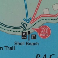 Shell Beach - 2 tips