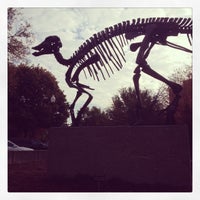 10/29/2013에 Ken M.님이 McClung Museum of Natural History and Culture에서 찍은 사진