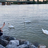 Photo taken at Donaupromenade by Hawkeye on 6/15/2022