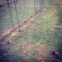 Springboro, Ohio - City