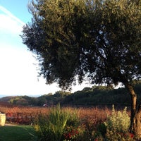 Photo taken at Red Soles Winery by Afshan Shana T. on 12/2/2012