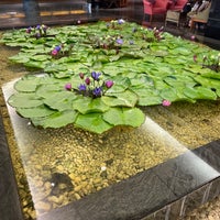 Photo taken at Bangkok Hotel Lotus Sukhumvit by Masahiko T. on 1/6/2024
