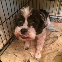 Magnolia Animal Hospital 11 Tips From 143 Visitors