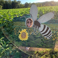Photo taken at Sussex County Sunflower Maze by Kyle B. on 8/31/2022