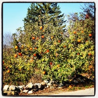 Photo taken at SMOLAK FARMS by Derek P. on 10/27/2012