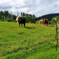 Photo taken at U Štěpána by Jakub K. on 9/6/2020