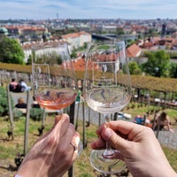 5/1/2023 tarihinde Jakub K.ziyaretçi tarafından Svatováclavská vinice'de çekilen fotoğraf