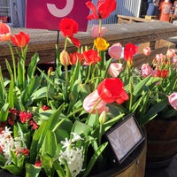 Photo taken at Tulipmania at Pier 39 by James on 2/11/2017