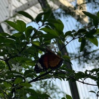Photo taken at Butterfly Garden by Wilfried . on 4/13/2024