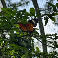 Photo taken at Butterfly Garden by Wilfried . on 4/13/2024