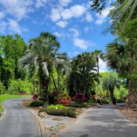Снимок сделан в Disney&amp;#39;s Palm Golf Course пользователем Dan R. 4/22/2023