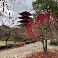 五重塔 成相寺339 五重塔 成相寺339