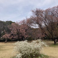 Photo taken at Wako Jurin Park by Gunita on 3/24/2024