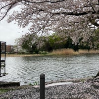 Photo taken at Shakujii Park by Gunita on 4/9/2024