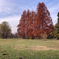 Photo taken at Akigase Park by Gunita on 12/16/2023