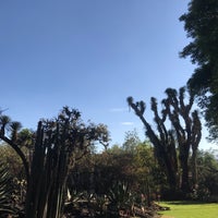 Photo taken at Jardín botánico del Instituto de Biología, UNAM by Hugo C. on 1/22/2019