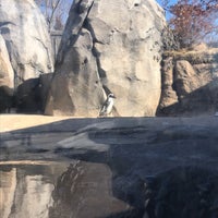 Photo taken at Pritzker Penguin Cove by Carly K. on 3/3/2018
