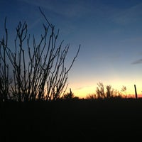 รูปภาพถ่ายที่ Desert Botanical Garden โดย Terry เมื่อ 12/24/2012