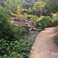 Photo taken at UCLA Mildred E. Mathias Botanical Garden by James G. on 6/13/2022