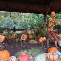 Photo taken at Haunted Pumpkin Garden At NY Botanical Garden by Vivianna on 10/27/2012