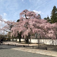 醍醐寺 三宝院 8 Tips From 546 Visitors