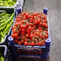 Cendere Tarim Kadikoy Sebze Hali Baglarbasi 2 Ziyaretci Cendere Tarim Kadikoy Sebze Hali Baglarbasi 2 Ziyaretci