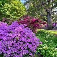 Photo taken at Morris Arboretum by Sergey R. on 4/30/2024