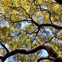 Photo taken at Plaza Rubén Darío (Paseo de las Esculturas) by Emerson G. on 7/3/2013