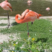 Photo taken at Zoo Ostrava by FreaX . on 6/21/2022