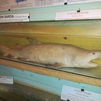 Das Foto wurde bei Museo del Mar von Juan Pablo am 10/10/2012 aufgenommen
